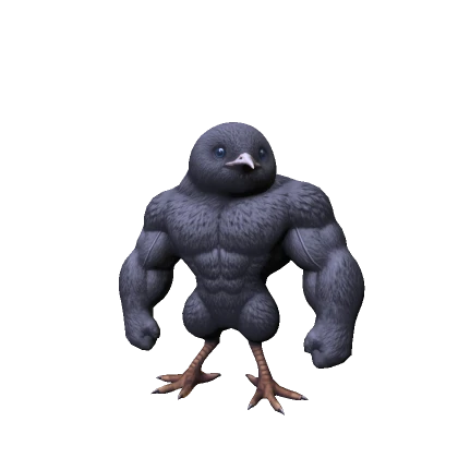 Kiwi Bird (RECOLORABLE)