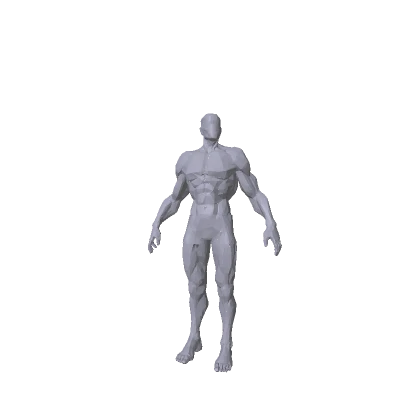 Muscular Man