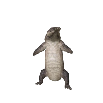 Crocodile