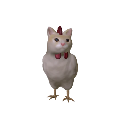 Chicken Cat