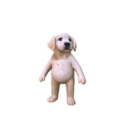 Chubby retriever dog