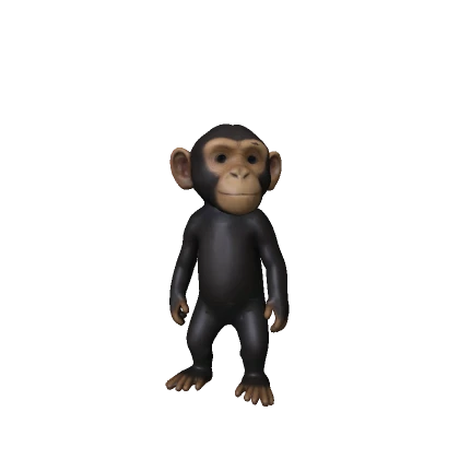 Monkey 🐵