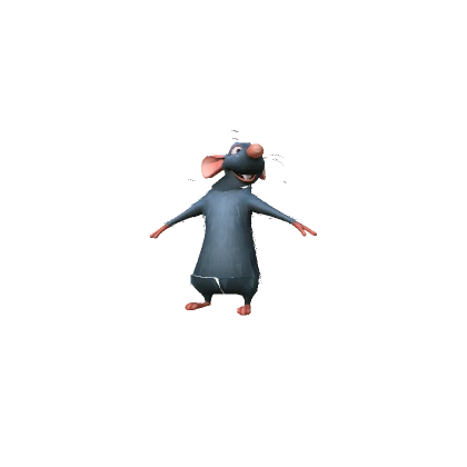 Cute Mini Remy