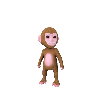 Baby Monkey
