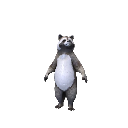 🦝 Cute Raccoon 🦝  Funny Troll Meme Animal