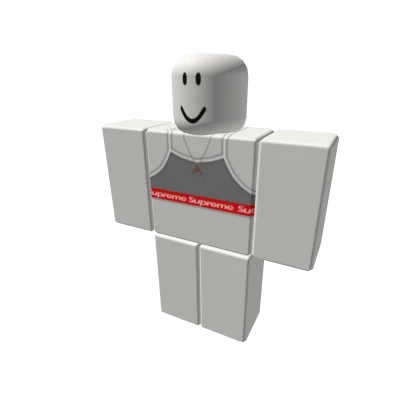 Gray 'Supreme' Sports top