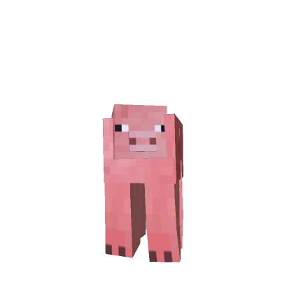 Funny Pig