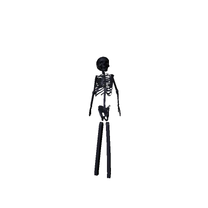 Super Thin Tall Skeleton [SAB]