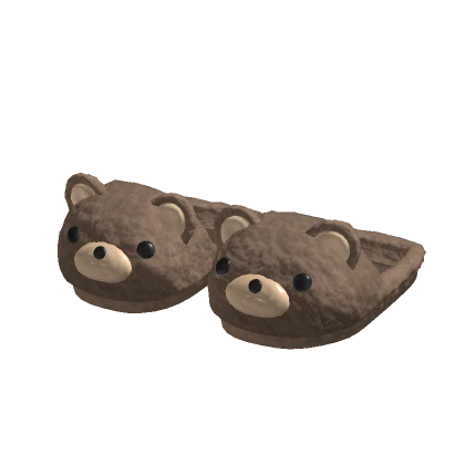 bear slipper slides