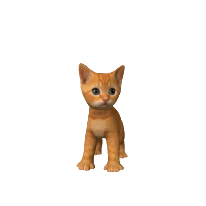 Mini Orange Kitten