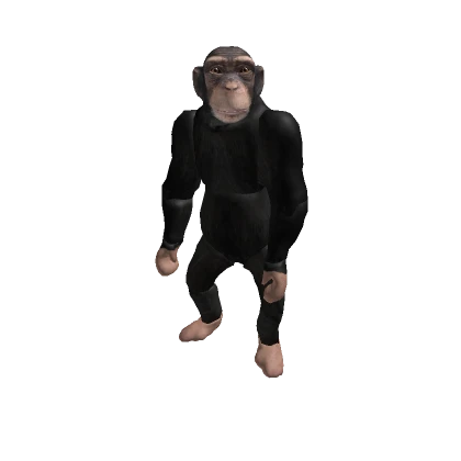 Chimpanzee