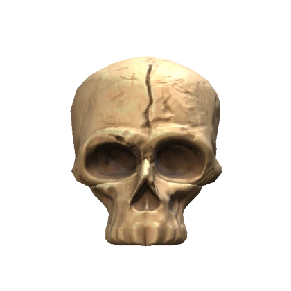 Skull Head