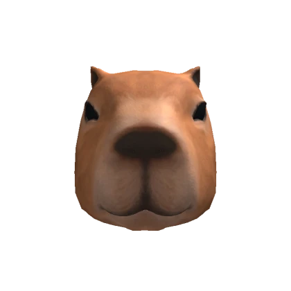 Capybara Head