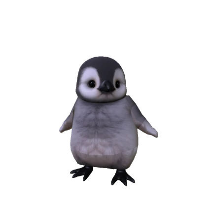 Cute Baby Penguin