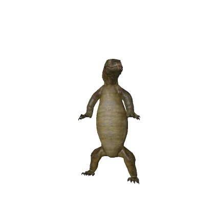 Komodo Dragon
