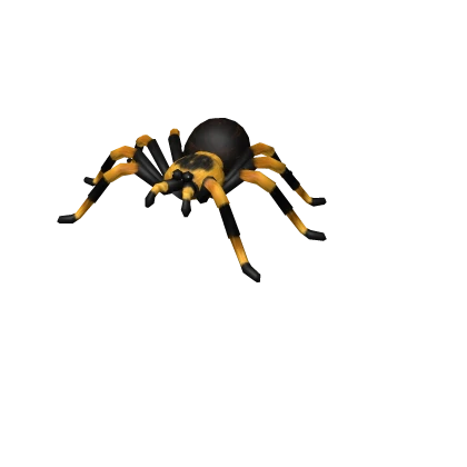 Tarantula Pet