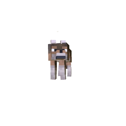 Small Forest Wolf