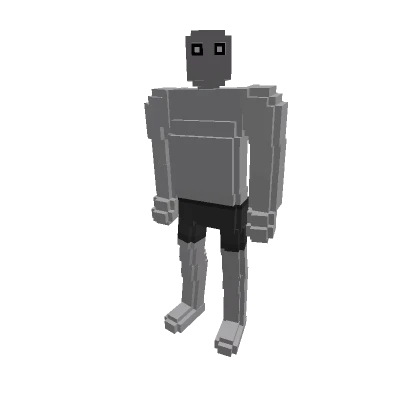 Voxel Guy