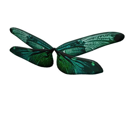 Elegant Dragonfly Wings