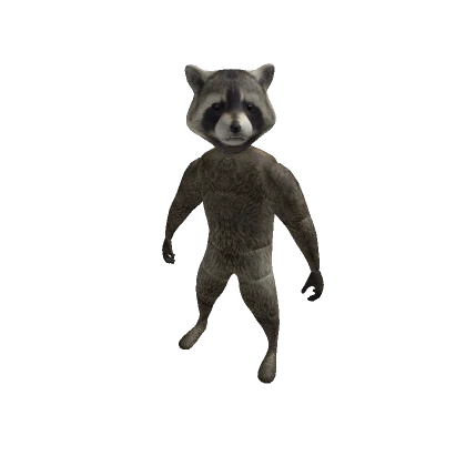 Raccoon Avatar