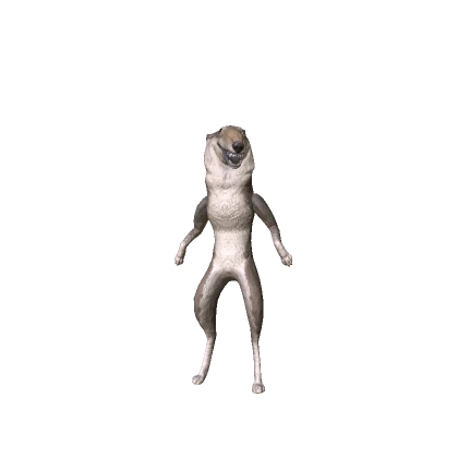 Taxidermy Wolf