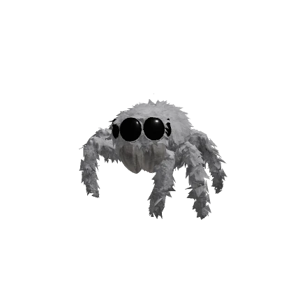 Jumping Spider