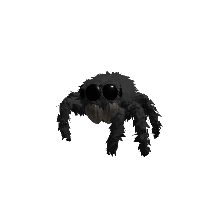 Spider Bundle