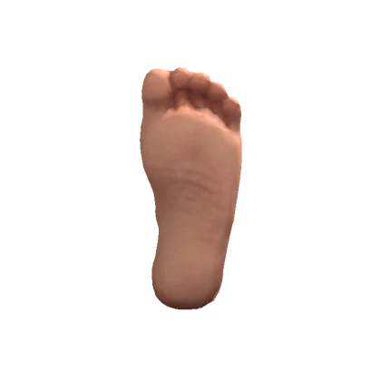 Foot [DYNAMIC]