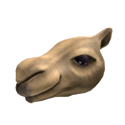 Dromedary Head