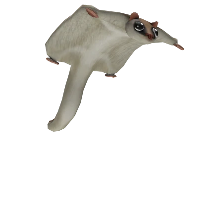 Flying Squirrel Friend