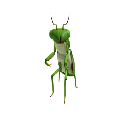 Mantis