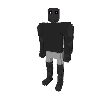 Mirror Voxel Guy