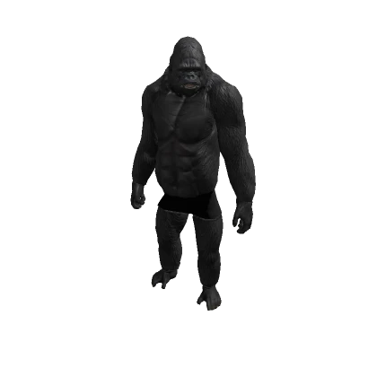 Gorilla