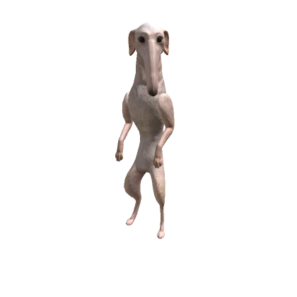 Borzoi