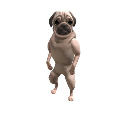 Pug