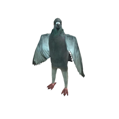 Pigeon Bird Avatar