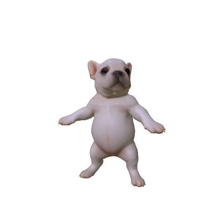 Pibble Dog Wash My Bellay