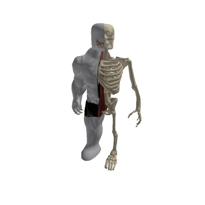 Skeleton Demon - 2D Clothing