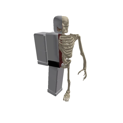 Classic Half Skeleton - 2D Clothing