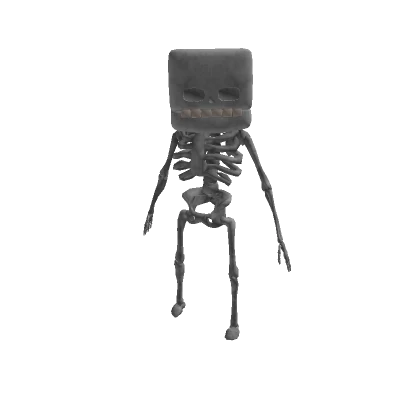 Skeleton