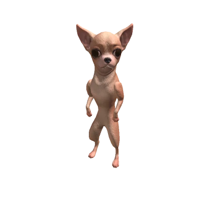 Chihuahua