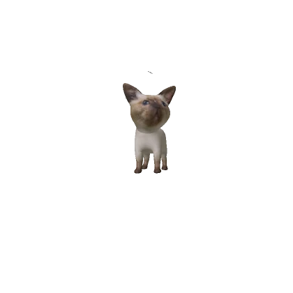 Babuleh Cat