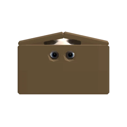 Siamese Cat in a box [DYNAMIC]