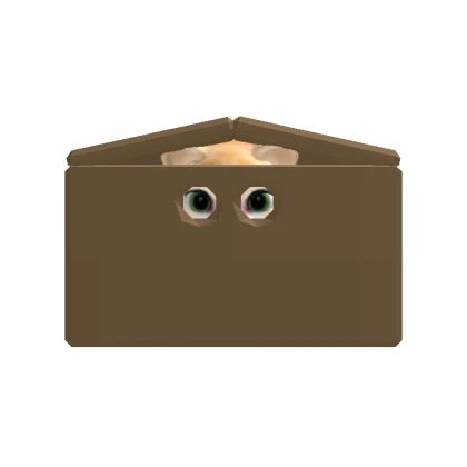 Orange Cat in a box [DYNAMIC]