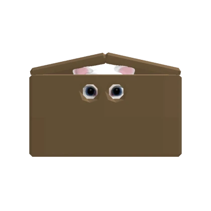 White Cat in a Box  [DYNAMIC HEAD]