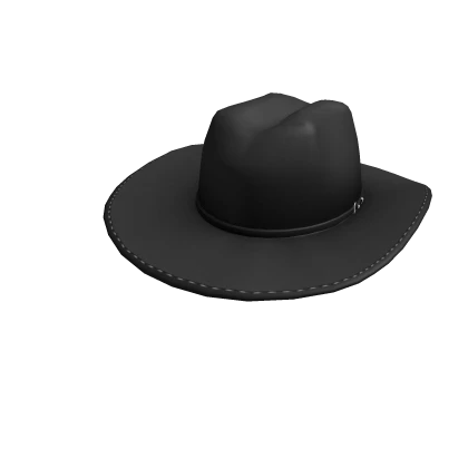 Black Stetson Cowboy Hat