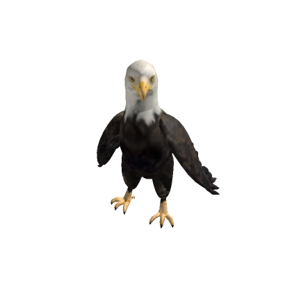 Bald Eagle Avatar 🦅🇺🇸💥