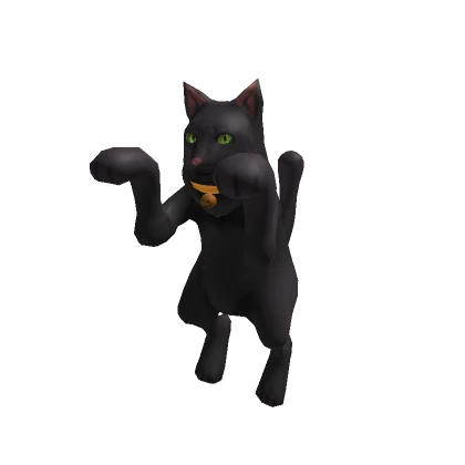 Spooky Shoulder Black Cat