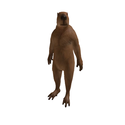 Realistic Capybara