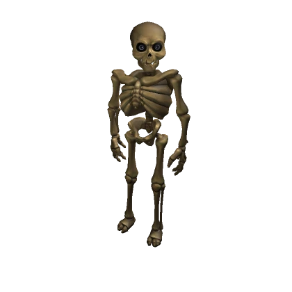 Mr. Skeleton